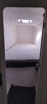 Fortuna Island Spirit 35 image
