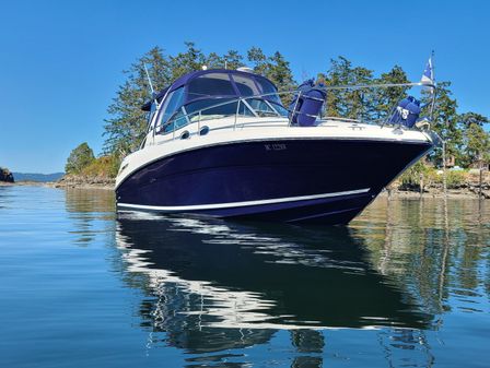 Sea Ray 300 Sundancer image