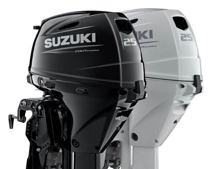 Suzuki DF25 image