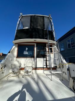 Bertram 38-CONVERTIBLE image