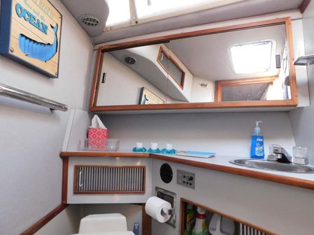 Sea Ray 390 Express Cruiser image