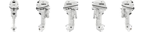 Yamaha F25 image