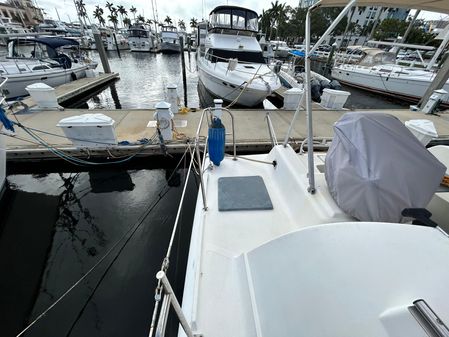 Endeavour-catamaran VICTORY image