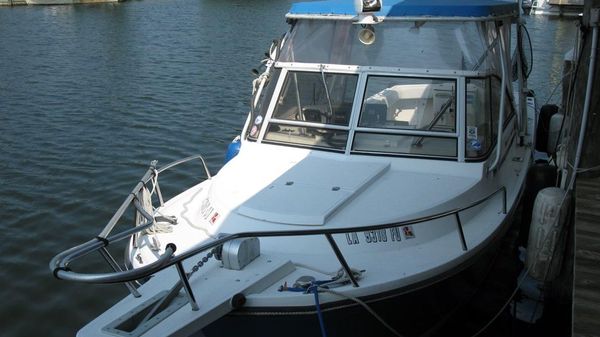 Shamrock 260 Predator