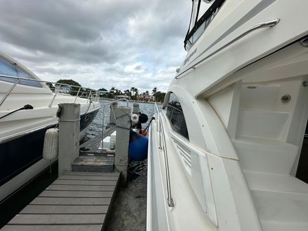 Sea Ray 36 Sedan Bridge image