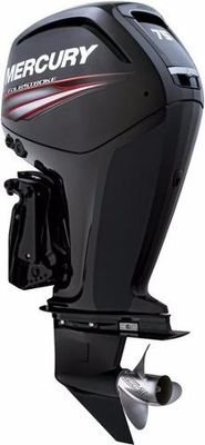 Mercury Fourstroke 75 hp - main image