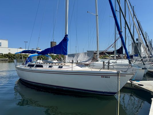 Catalina 36 - main image