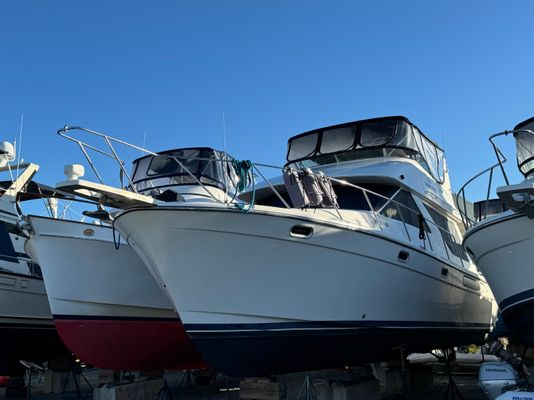 Bayliner 39-MOTOR-YACHT - main image