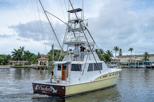 Hatteras Convertible image