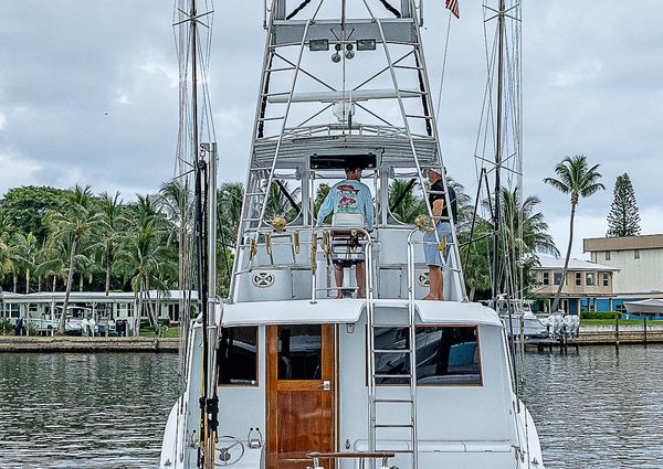 Hatteras Convertible image