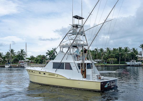 Hatteras Convertible image