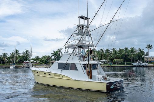 Hatteras Convertible image