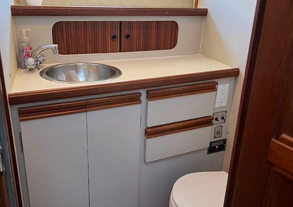 Carver 3207-AFT-CABIN image