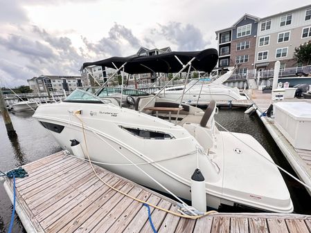 Sea Ray 260 Sundancer image