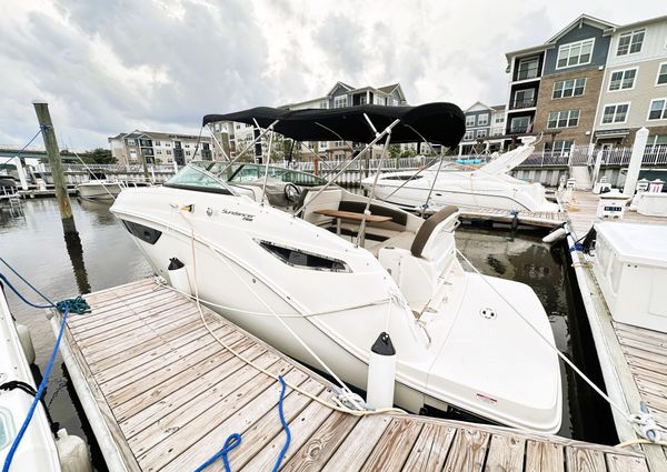 Sea Ray 260 Sundancer image