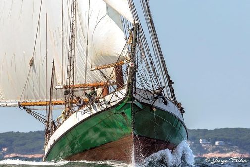 Custom BLOUNT-SHIPYARD-BALTIMORE-CLIPPER image