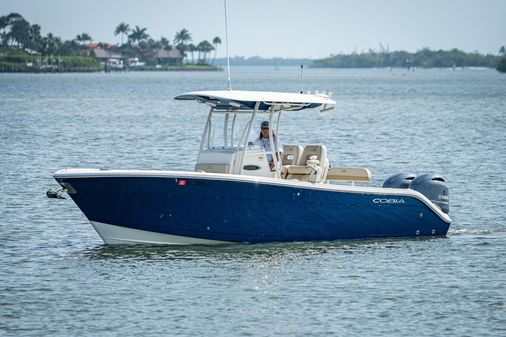 Cobia 261 image