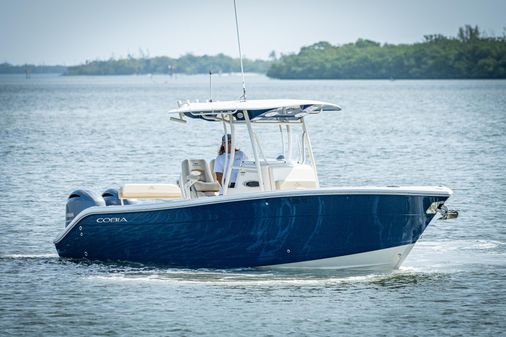 Cobia 261 image