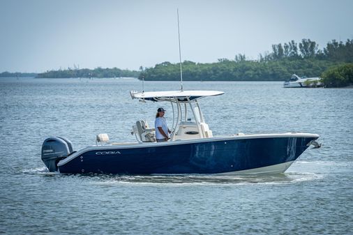 Cobia 261 image