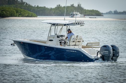 Cobia 261 image