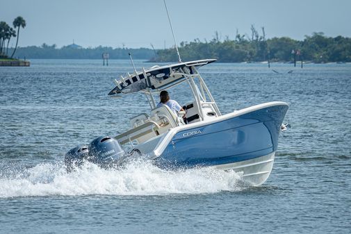 Cobia 261 image