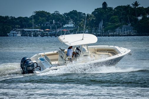 Cobia 261 image