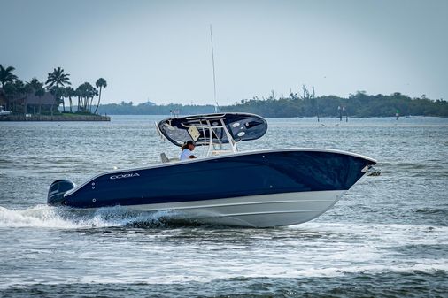 Cobia 261 image