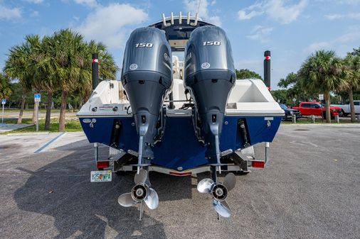 Cobia 261 image