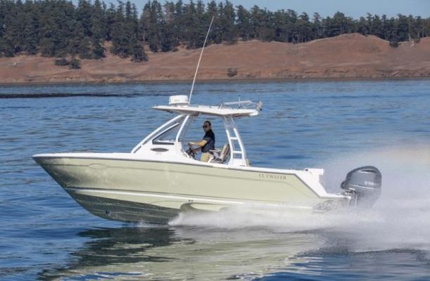 Cutwater C-24 CW - main image