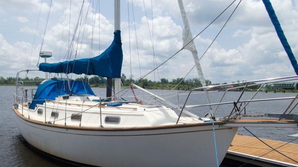 Island Packet 31