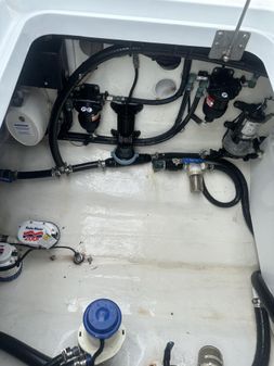 Yellowfin 42 image