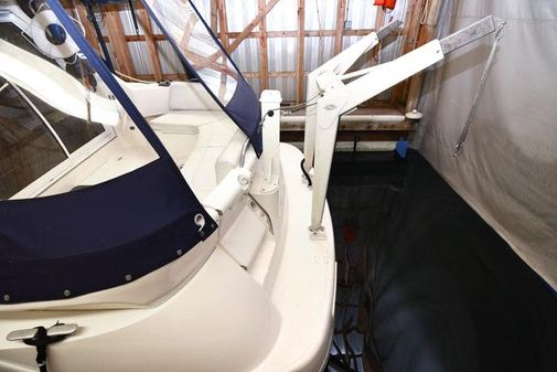 Sealine F36 image
