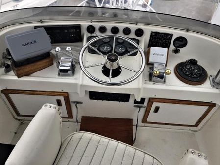 Bertram 31-SPORTFISH-FLYBRIDGE image