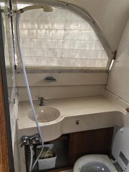 Bertram 31-SPORTFISH-FLYBRIDGE image
