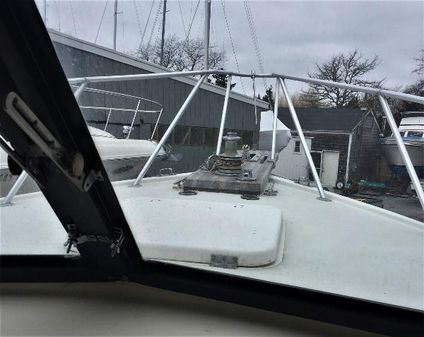Bertram 31-SPORTFISH-FLYBRIDGE image