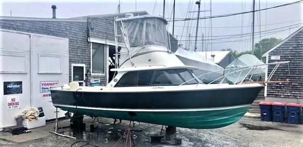 Bertram 31-SPORTFISH-FLYBRIDGE image