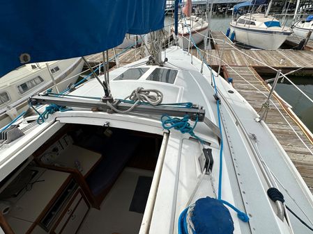 Catalina 270 image