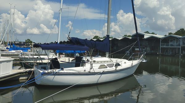 Newport MKII