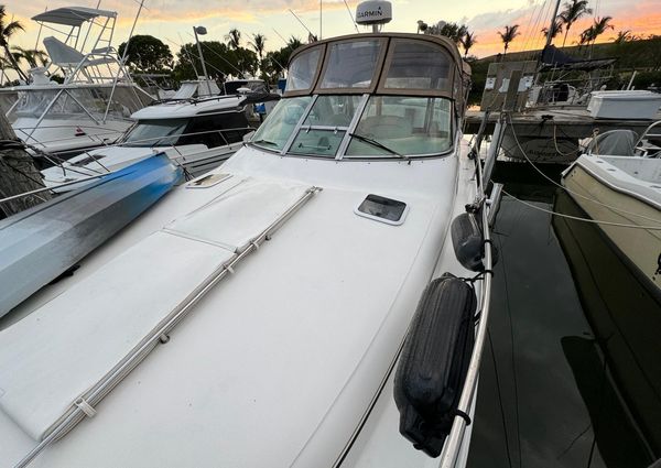 Sea Ray 310 Sundancer image