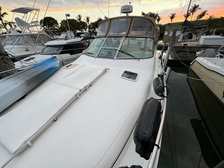 Sea Ray 310 Sundancer image