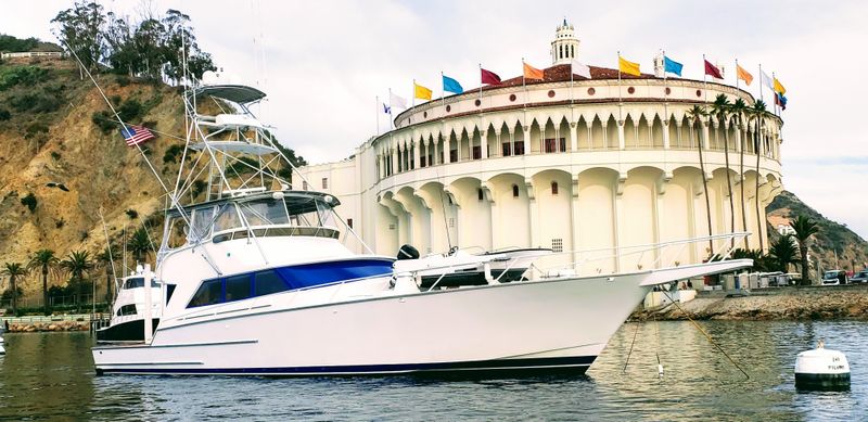 Striker 70 Sports Fish - main image