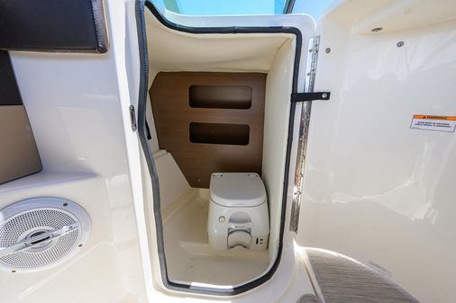 Sea Ray Sundeck 240 image