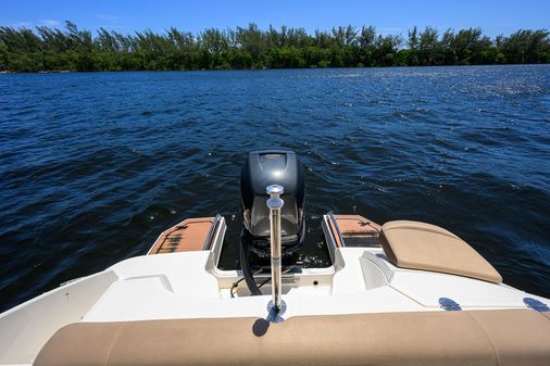 Sea Ray Sundeck 240 image