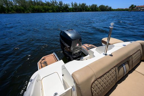 Sea Ray Sundeck 240 image