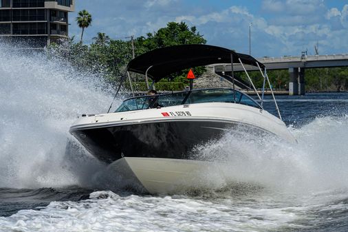 Sea Ray Sundeck 240 image