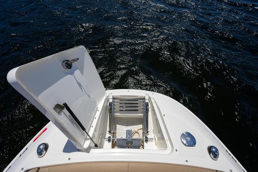 Sea Ray Sundeck 240 image