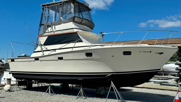 Viking 35 Convertible 