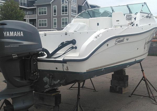 Seaswirl Striper 2301 Dual Console O/B image