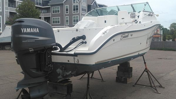 Seaswirl Striper 2301 Dual Console O/B image