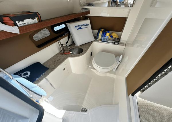 Sea Ray 350 SLX image